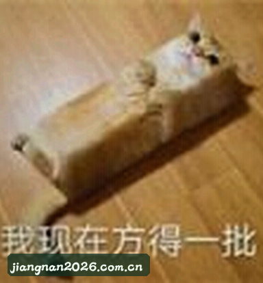 孙悦
